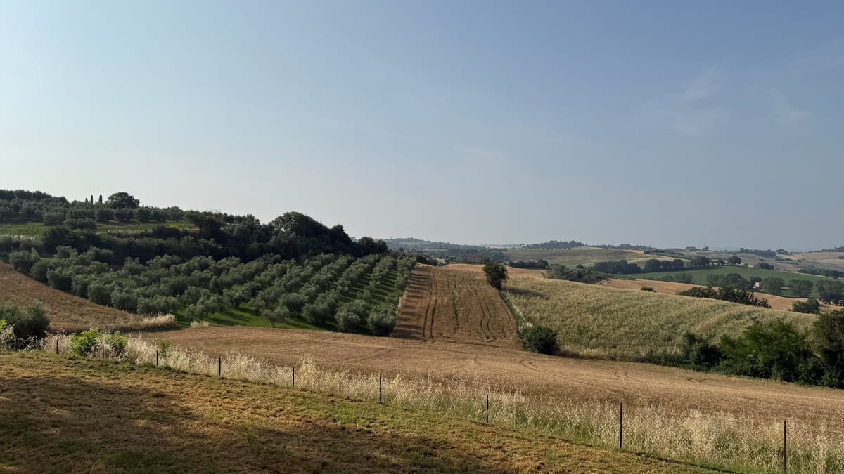 Sustainability & Purpose-Driven Brands: Beyond Greenwashing to Commercial Success